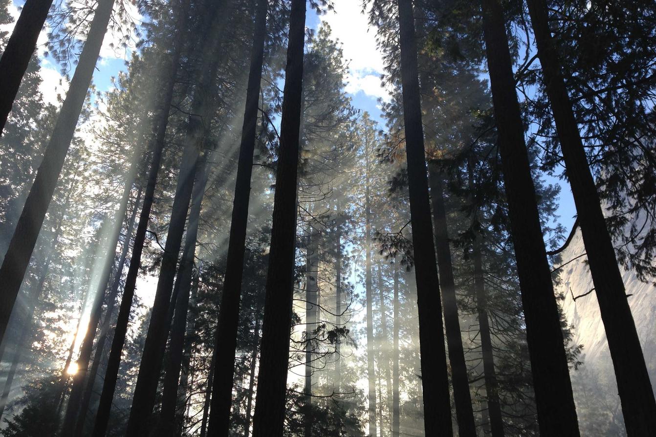 Iste corrupti ut error